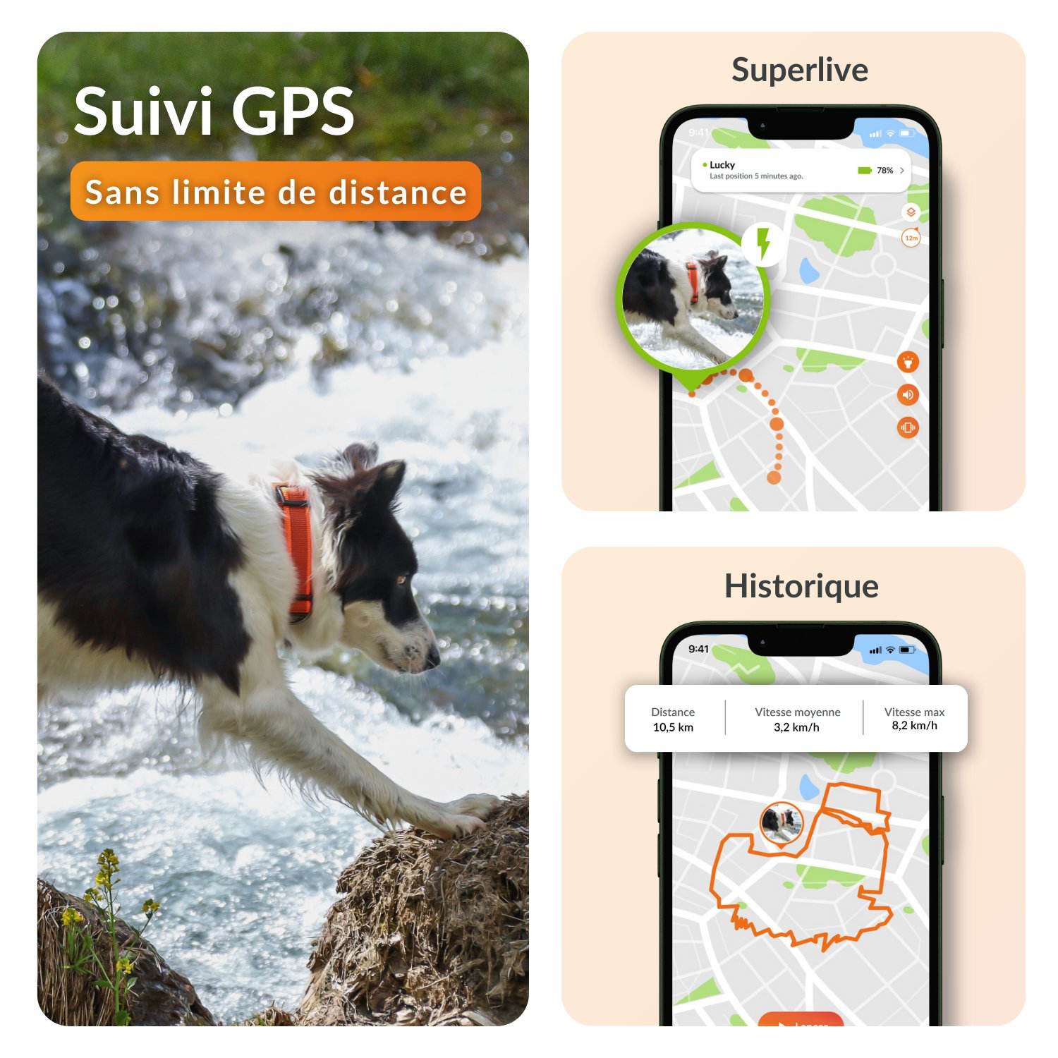 Weenect - Collier GPS XT Chiens - Noir Image num&eacute;ro 6