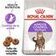 Royal Canin - Croquettes Sterilised Appetite Control pour Chat Stérilisé - 10 Kg Indicateur image numéro 2