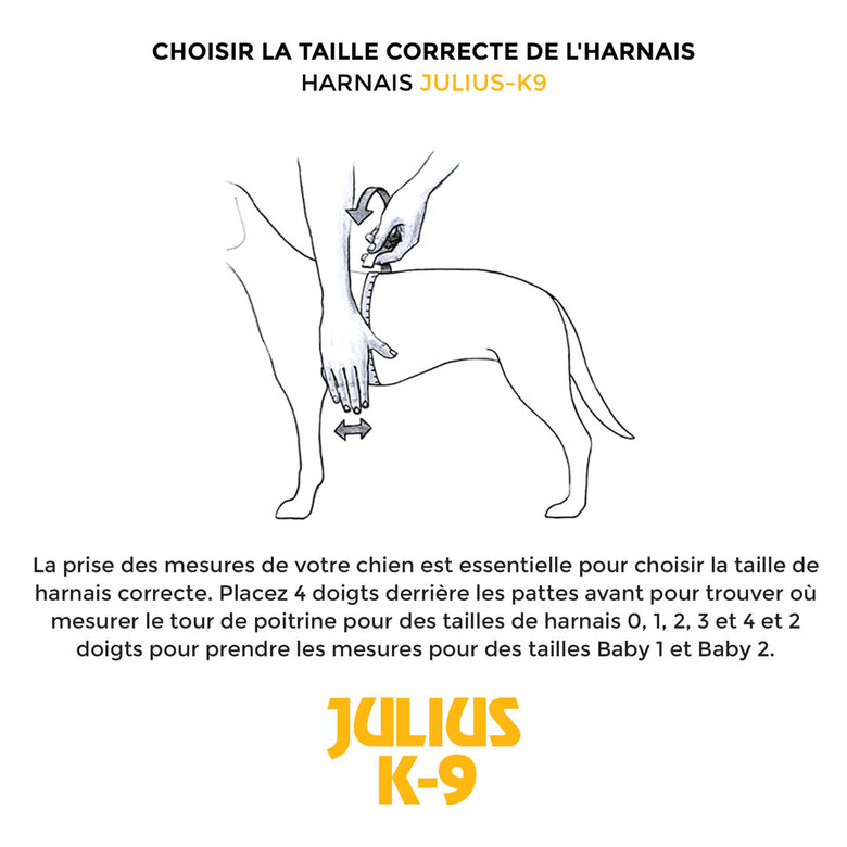 Julius K9 - Harnais Power Mini pour Chien Noir - 51/67cm Image numéro 3 Julius K9 - Harnais Power Mini pour Chien Noir - 51/67cm Image numéro 3