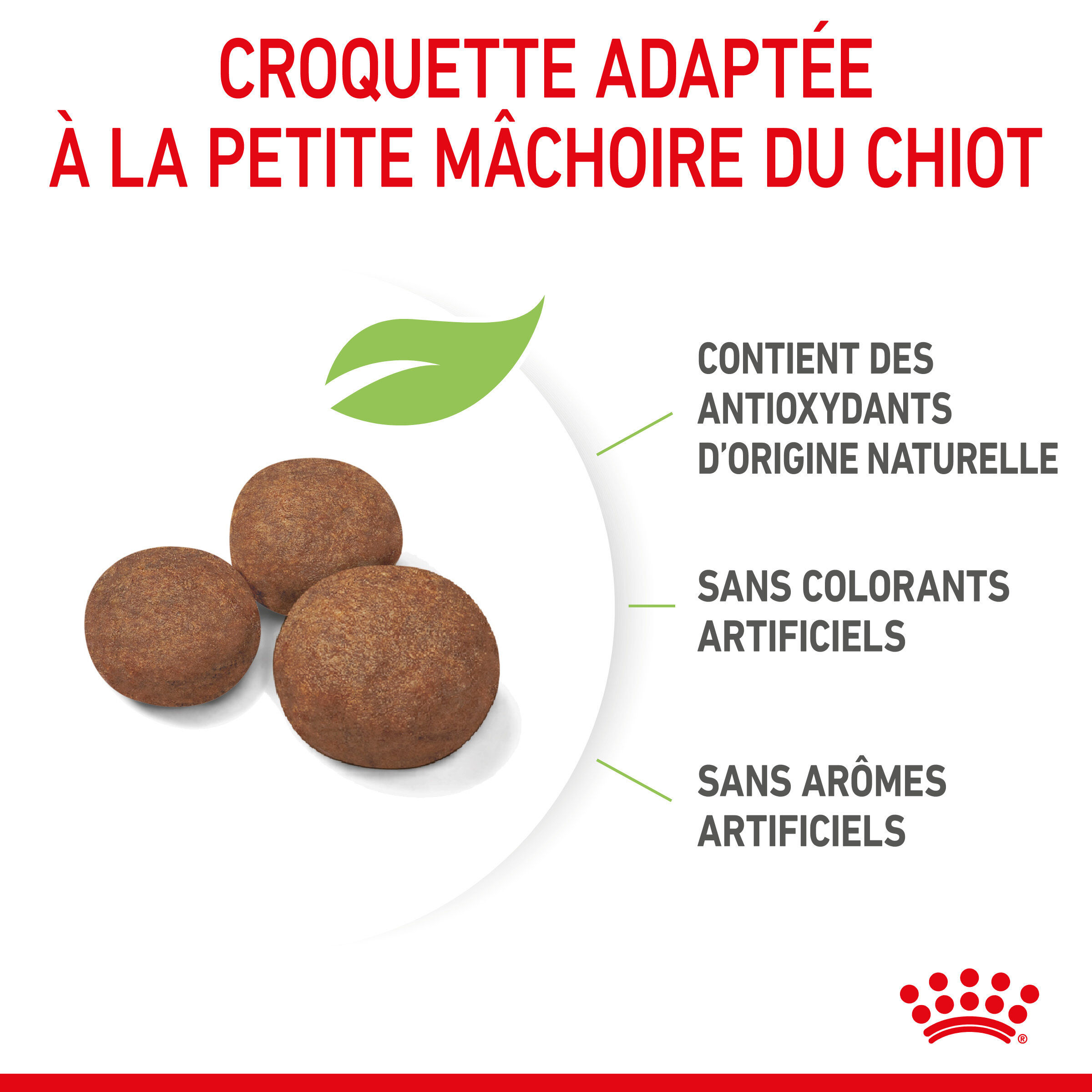 Royal Canin - Croquettes Medium Puppy pour Chiot - 3Kg Image num&eacute;ro 5