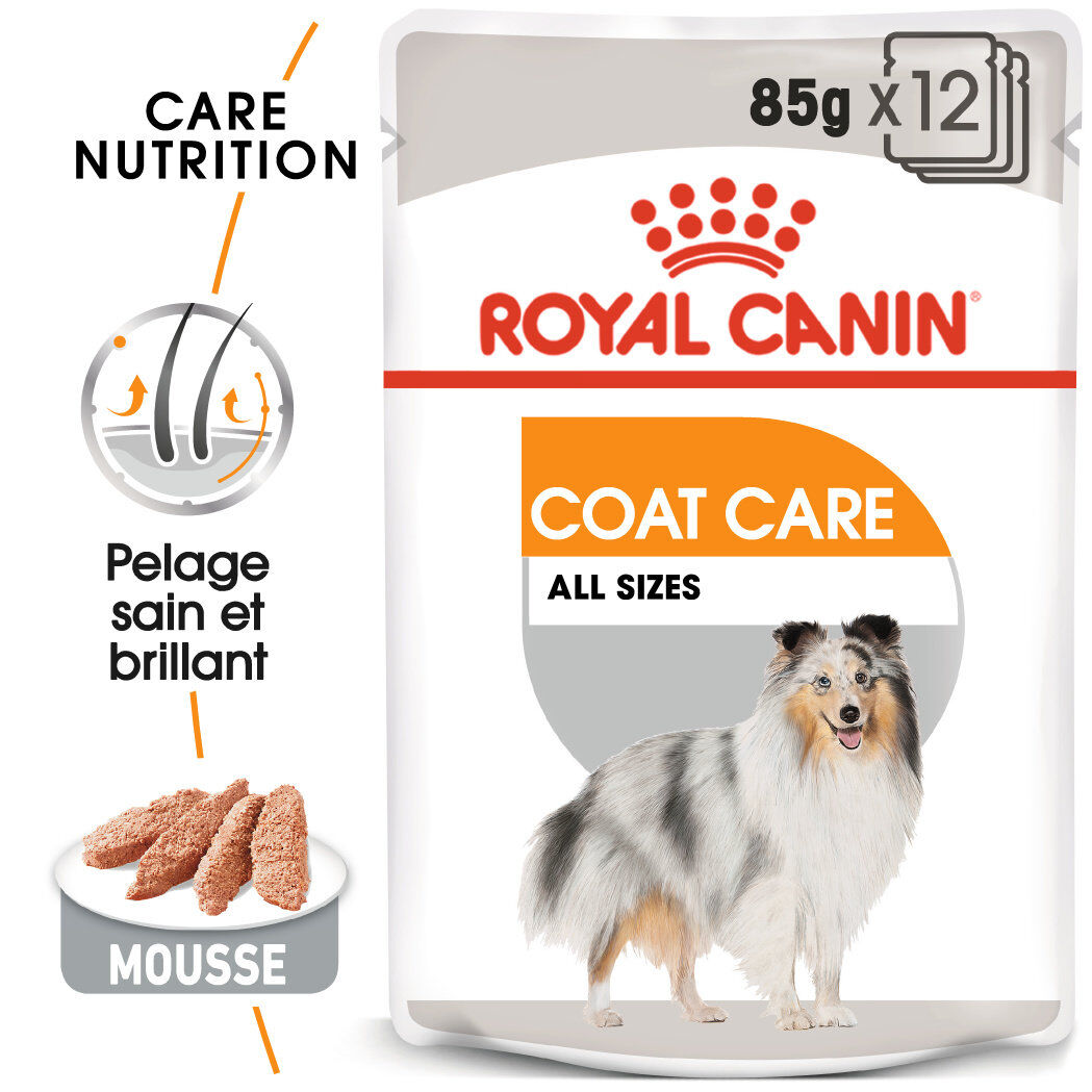 Royal Canin -  P&acirc;t&eacute;e en mousse COAT CARE MOUSSE pour chiens de toutes tailles - 12x85g Image num&eacute;ro 1