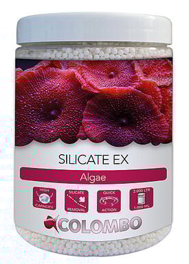 Colombo - Traitement Silicate Ex Algae Marine - 1000ml