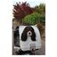 Pet on Wheels - Top Case de Transport Universel pour Chien et Chat - Gris Indicateur image numéro 5
