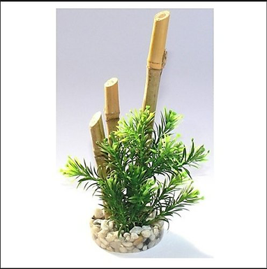 Tyrol - Décoration Plante Bambou pour Aquarium - 6cm