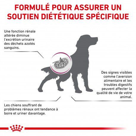 Royal Canin - Croquettes Veterinary Diet Renal pour Chien - 2Kg Image num&eacute;ro 2