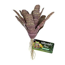 Zoomed - Plante Artificielle Chestnut Bromeliad pour Terrarium