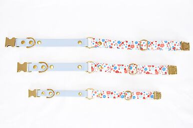 Pompon & Pets - Collier Duo Spring pour Chiens - M