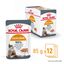 ROYAL CANIN - PÂTEE HAIR & SKIN EN MOUSSE CHAT ADULTE PEAU ET PELAGE - 12x85g Indicateur image numéro 2