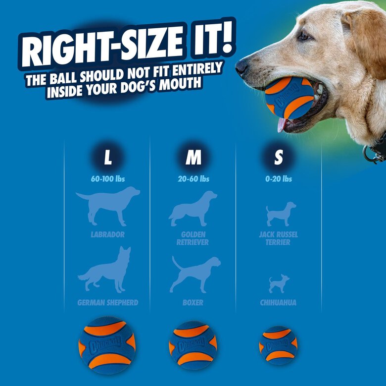 ChuckIt! - Balle Ultra Ball pour Chiens - XXL Image numéro 6 ChuckIt! - Balle Ultra Ball pour Chiens - XXL Image numéro 6