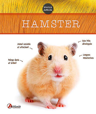 Artémis - Hamster