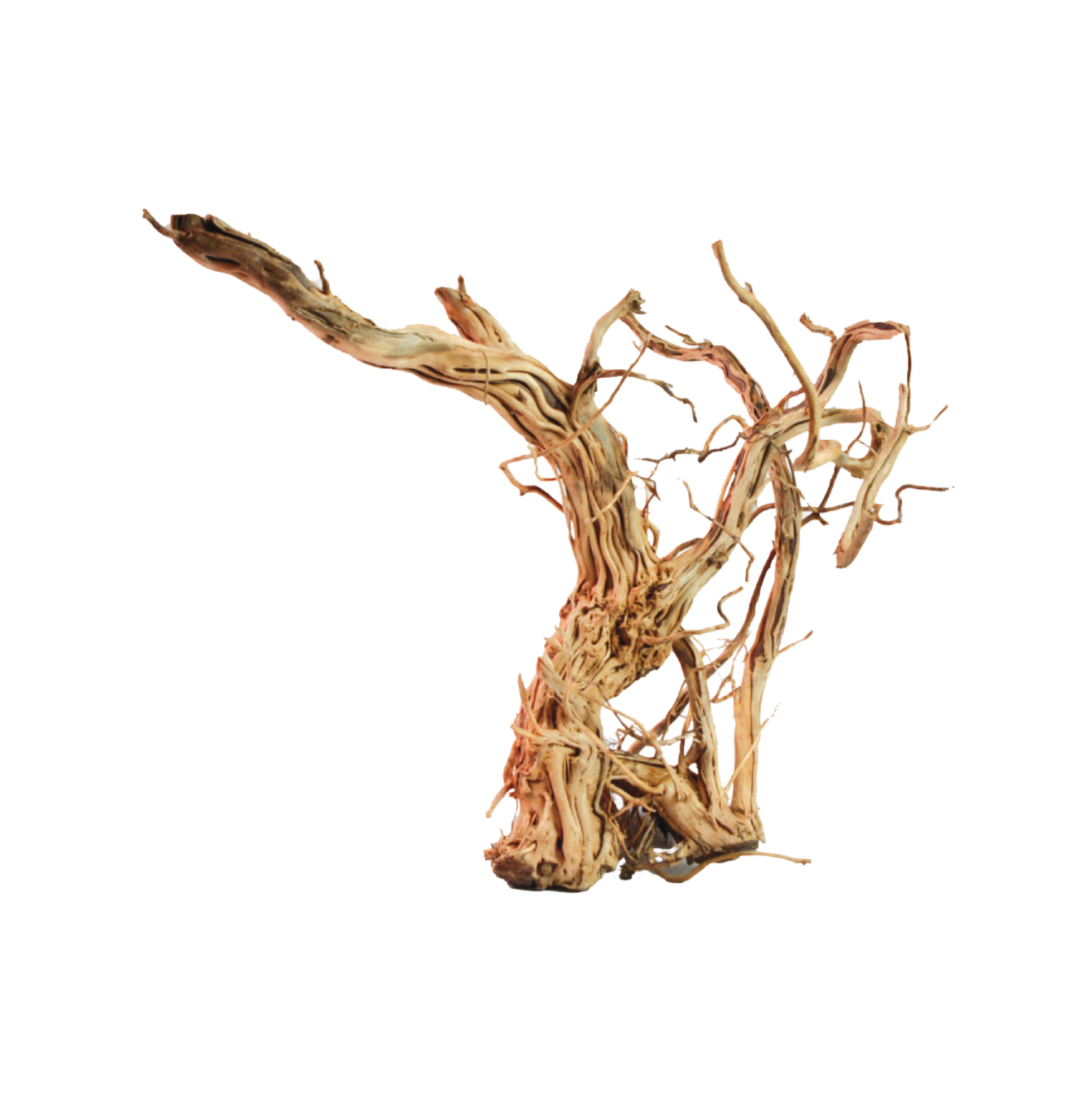 Amtra - D&eacute;coration Bois Dragon Skin pour Aquarium - L Image num&eacute;ro 2