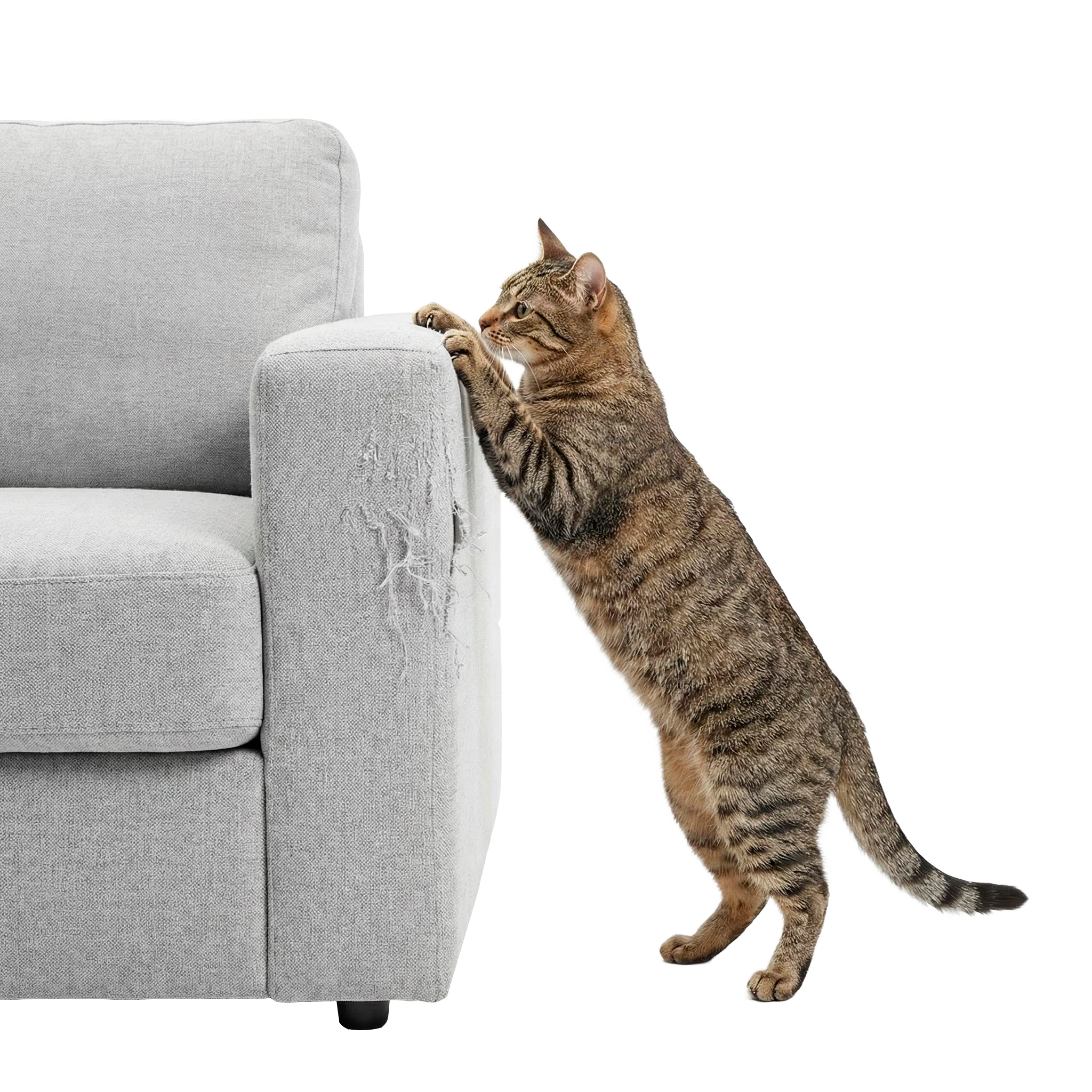 Nice Care - Spray Anti-Griffures pour Chats - 60ml Image num&eacute;ro 4