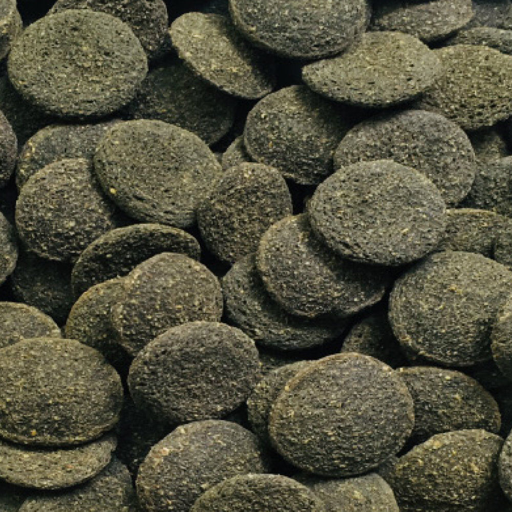 Amtra - Aliment Pro Pleco Tabs - 100ml Image num&eacute;ro 2