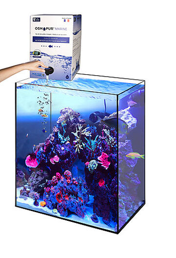 Aquariums d'eau de mer - Animalis