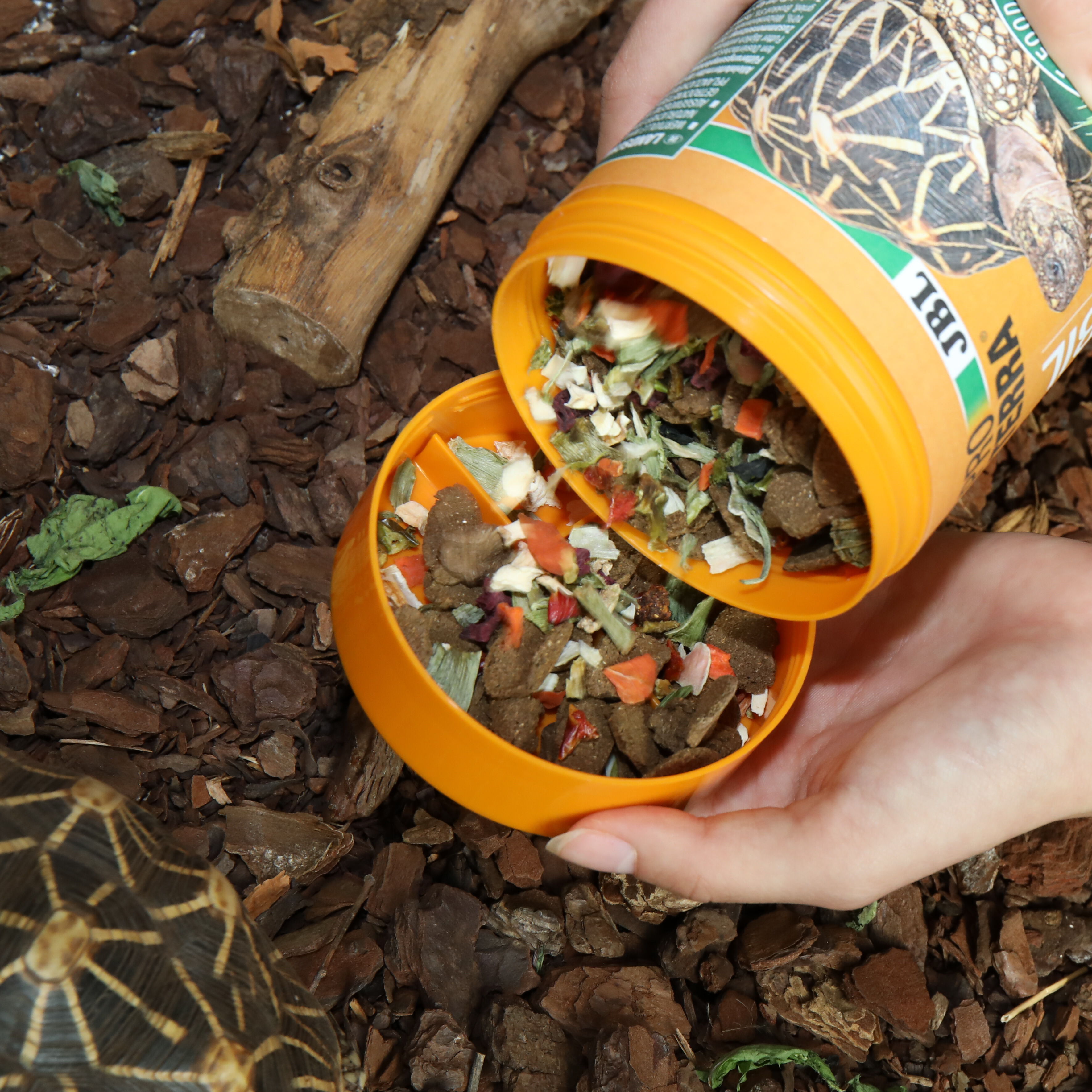 JBL - Aliment Proterra Vegabil pour Tortues Terrestres - 250ml Image num&eacute;ro 4