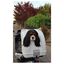 Pet on Wheels - Top Case de Transport Universel pour Chien et Chat - Rouge Indicateur image numéro 5