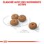 Royal Canin - Croquettes Mini Sterilised pour Chien Stérilisé - 8Kg Indicateur image numéro 5