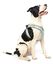 Fuzzyard - Harnais Summer Punch pour Chien - XL Indicateur image numéro 4