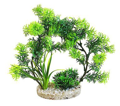 Sydeco - Décoration pour Aquarium Arche Plante - 21cm