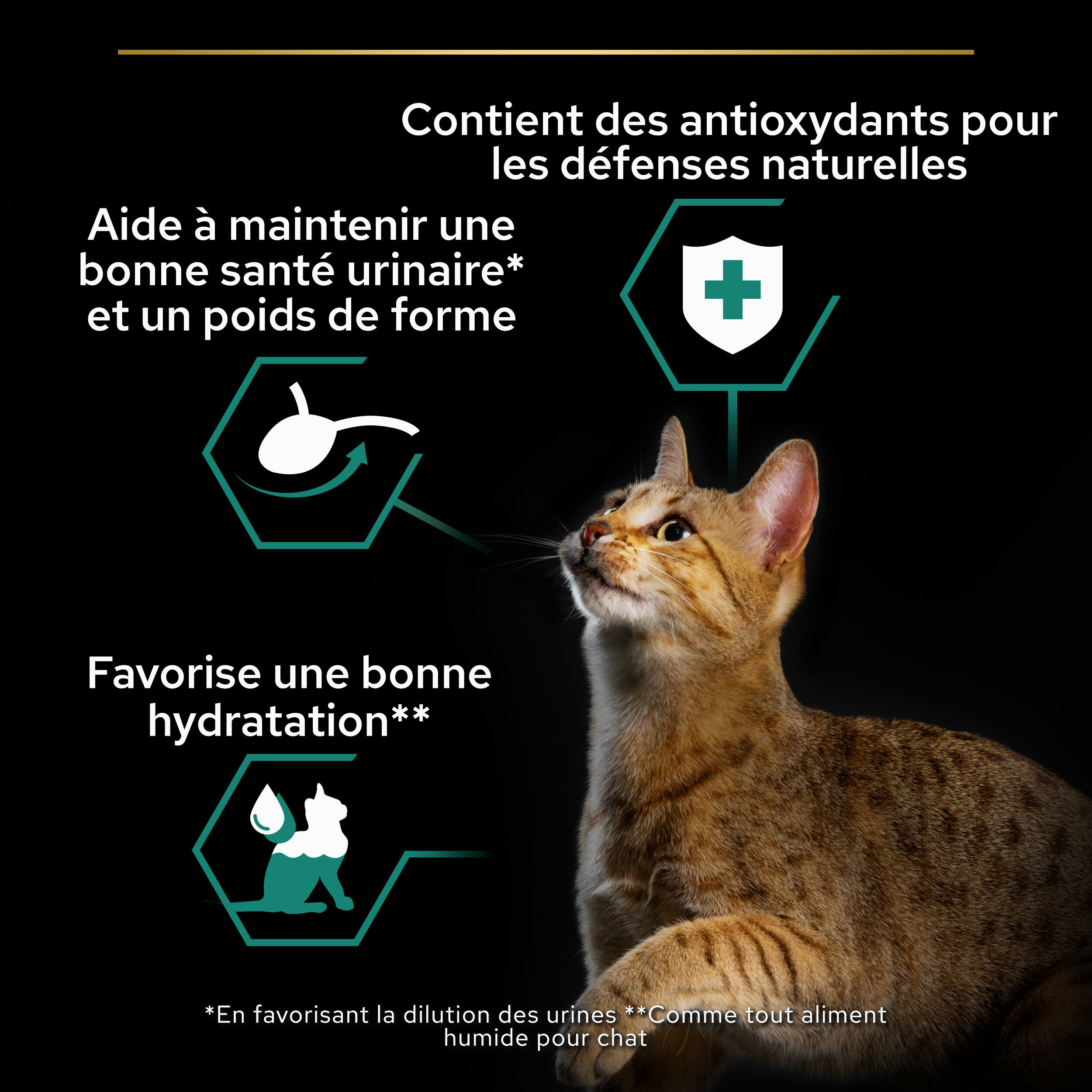 Pro Plan -  Pochons Adulte St&eacute;rilis&eacute; Boeuf Poulet pour chat adulte -  10x85g Image num&eacute;ro 5