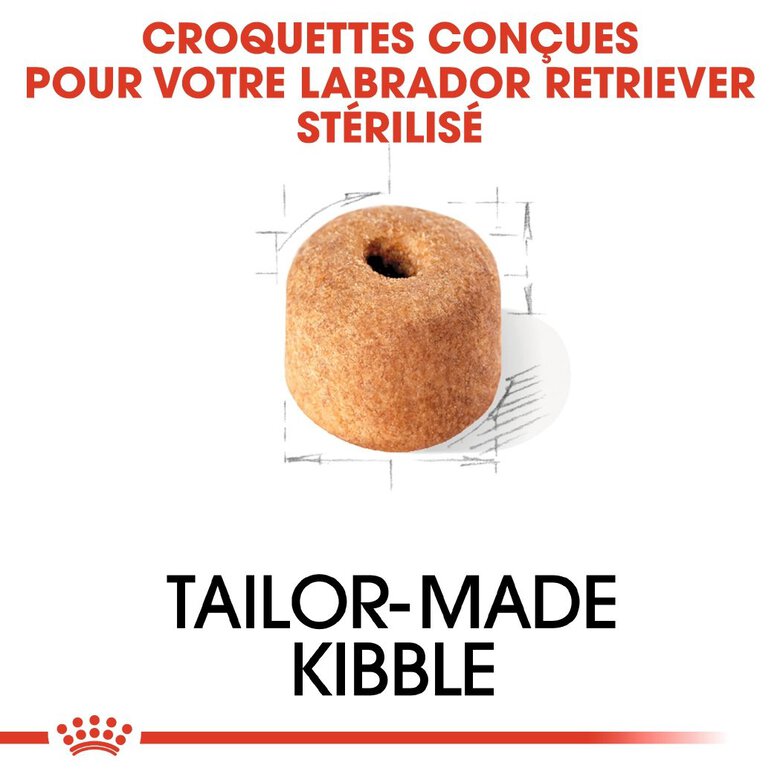 Royal Canin - Croquettes Labrador pour Chien Stérilisé - 12Kg Image numéro 4 Royal Canin - Croquettes Labrador pour Chien Stérilisé - 12Kg Image numéro 4