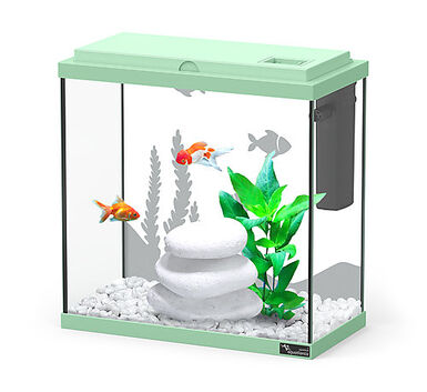 Animalis - Aquarium Dory Fond Sablé Vert pour Poissons - 10L