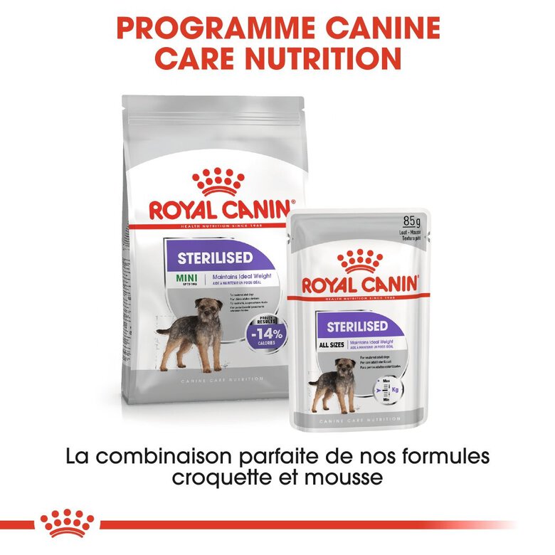 Royal Canin - Croquettes Mini Sterilised pour Chien Stérilisé - 8Kg Image numéro 6 Royal Canin - Croquettes Mini Sterilised pour Chien Stérilisé - 8Kg Image numéro 6