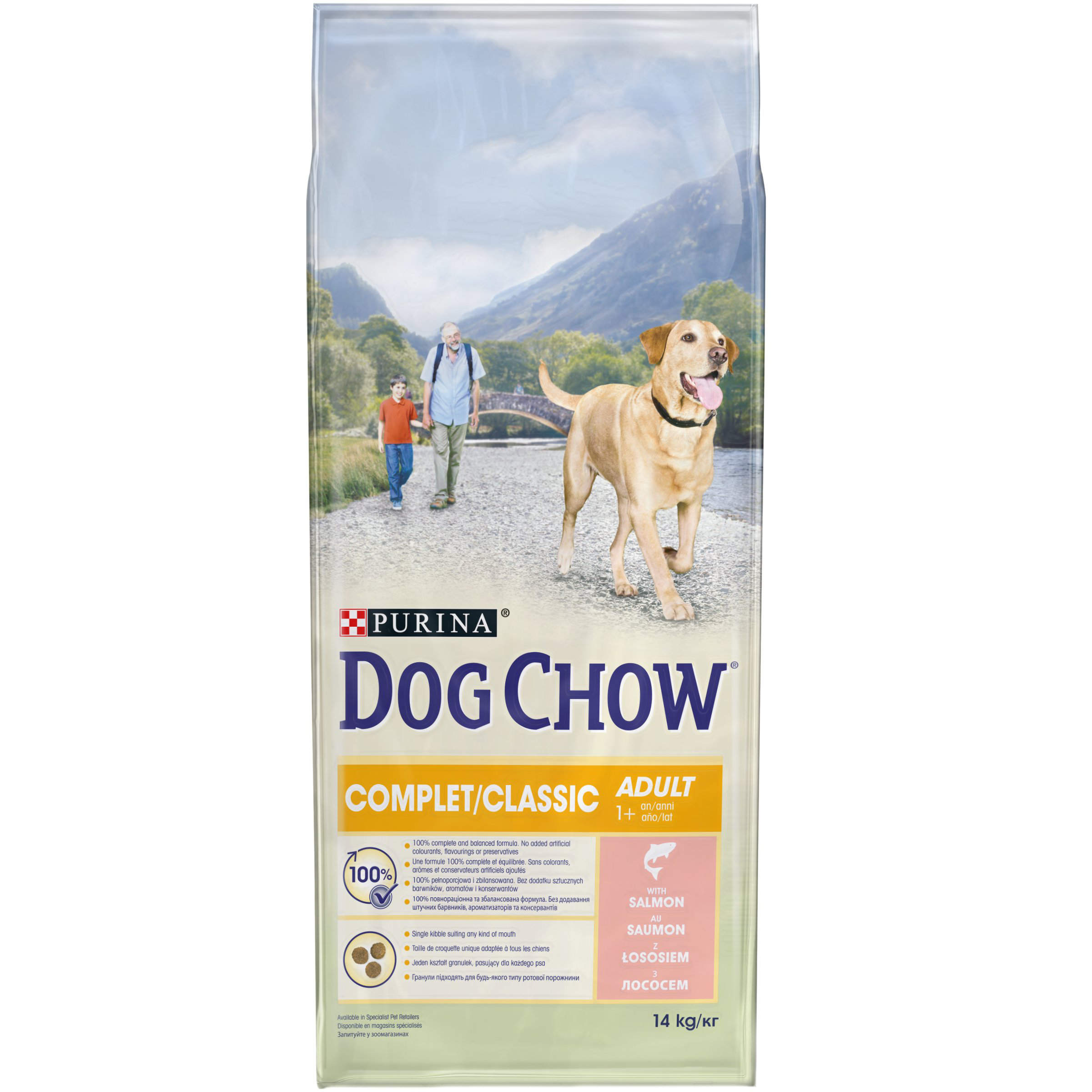 Dog Chow - Croquettes Complet au Saumon pour Chien Adulte - 14Kg Image num&eacute;ro 2