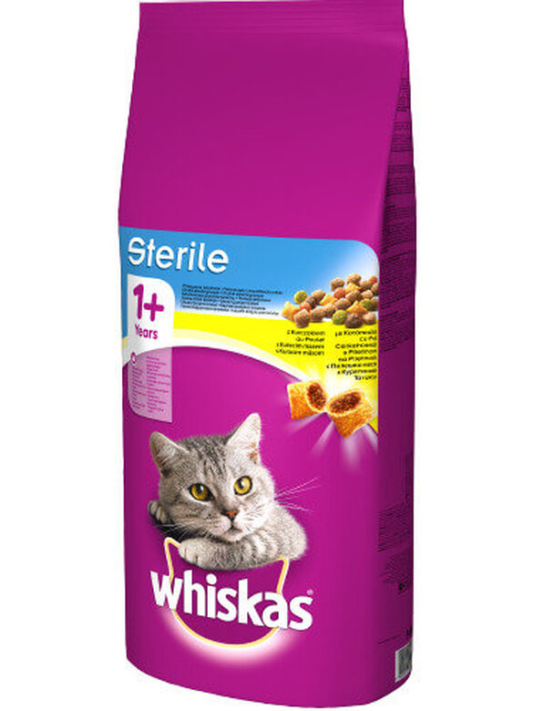Whiskas - Croquettes +1 au Poulet pour Chat Stérilisé - 14Kg Image numéro 1 Whiskas - Croquettes +1 au Poulet pour Chat Stérilisé - 14Kg Image numéro 1