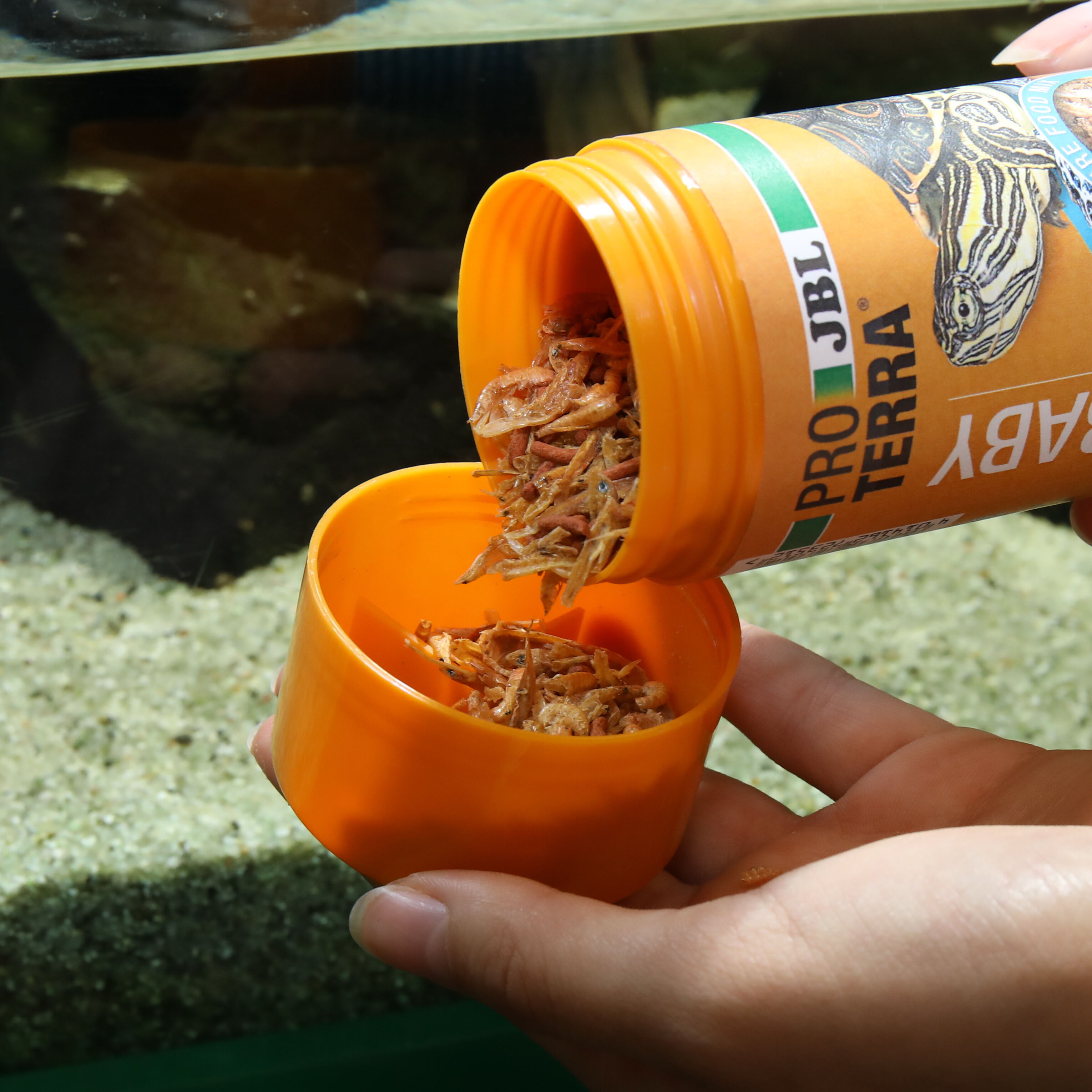JBL - Aliment Proterra Baby pour Tortues d'Eau et Cistudes - 250ml Image num&eacute;ro 4