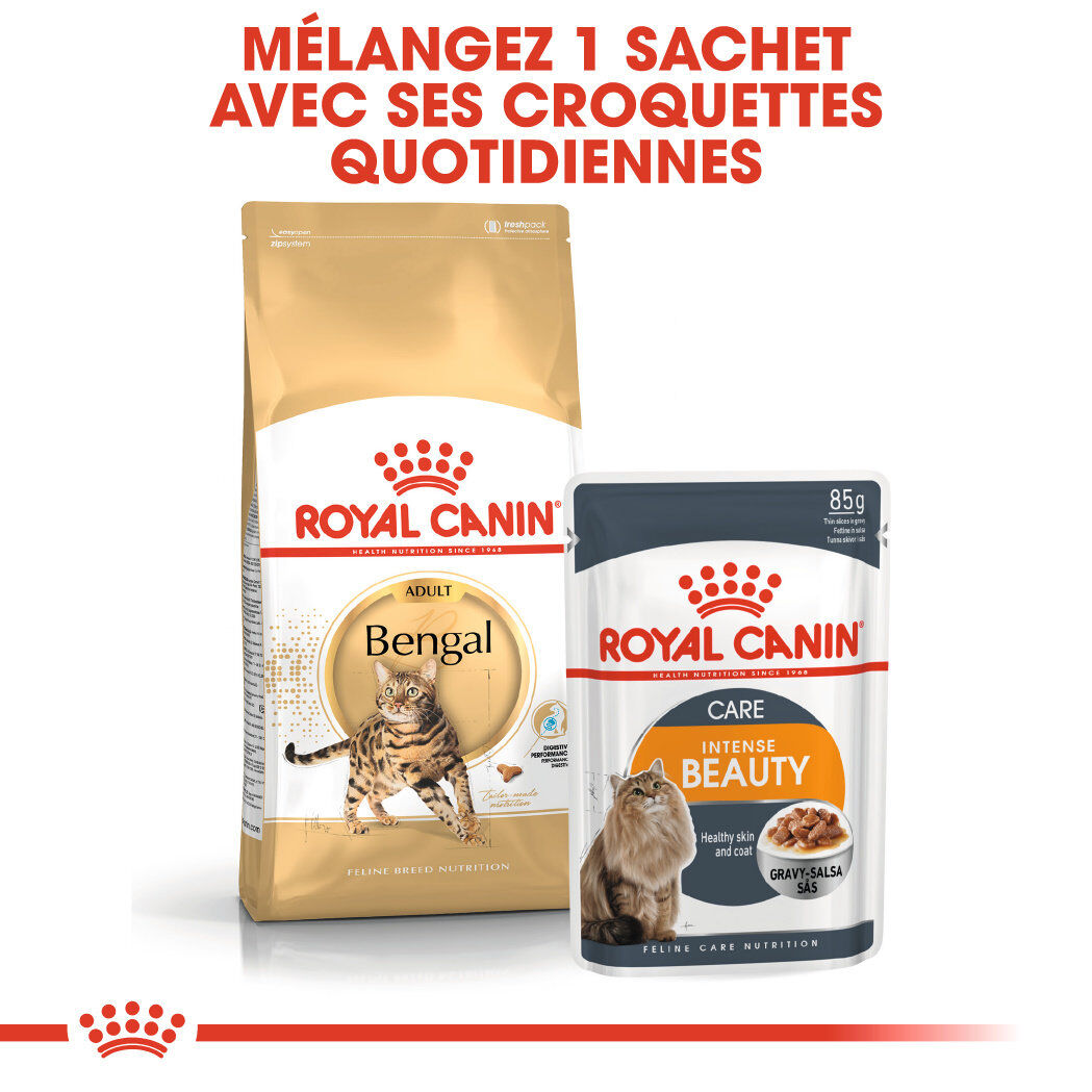 Royal Canin - Croquettes Bengal pour Chat Adulte - 2Kg Image num&eacute;ro 6