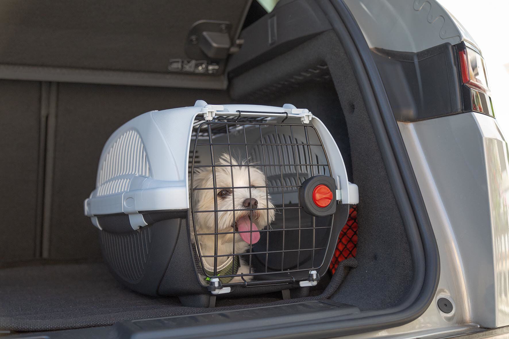 Ferplast - Panier Transport Atlas Deluxe 10 Open Image num&eacute;ro 1