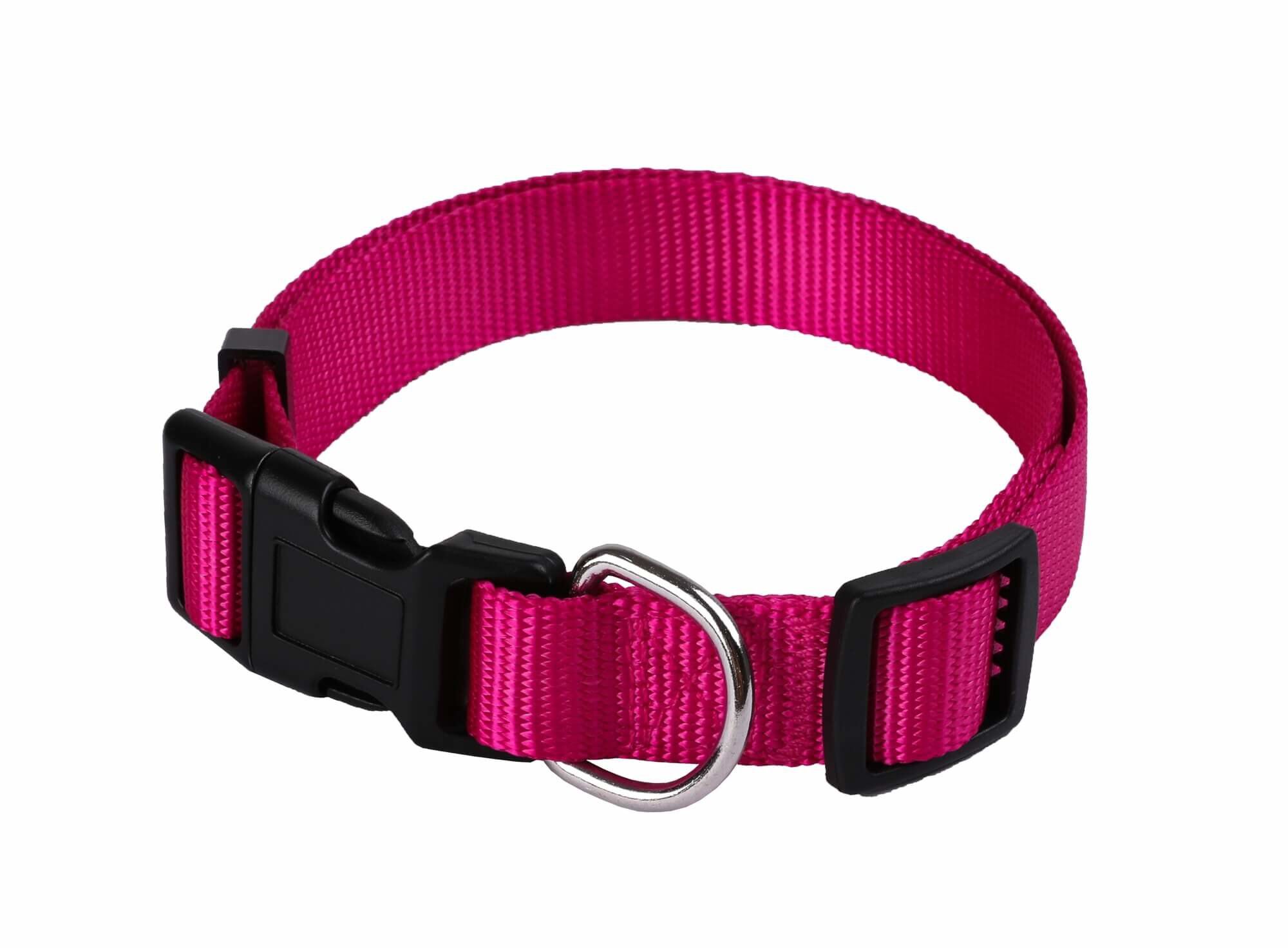 Animalis - Collier Basic Fuchsia pour Chien - 15mm et 25/40cm Image num&eacute;ro 1