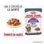 Royal Canin - Sachets Appetite Control Care en Sauce pour Chat - 12x85g Indicateur image numéro 2