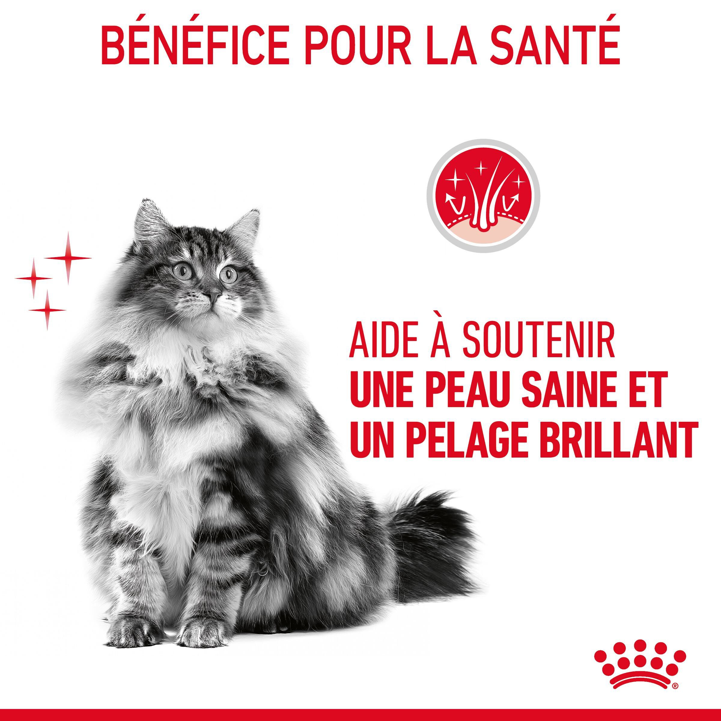 Royal Canin - Sachets Hair&Skin Sauce pour Chat - 12x85g Image num&eacute;ro 3