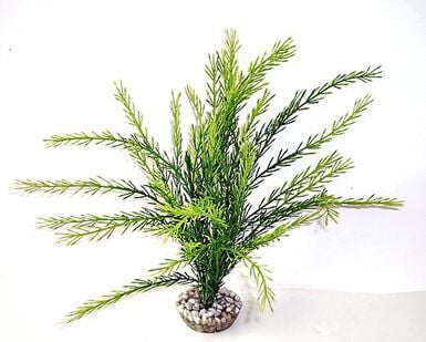 Labeo - Rotala - Plante Artificielle Aquarium