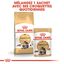 Royal Canin - Croquettes Maine Coon pour Chat Adulte - 4Kg Indicateur image numéro 6