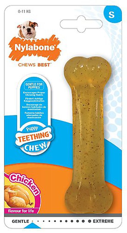 Nylabone - Jouet Os Puppy Teething Chew pour Chien - S image number null