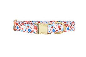 Pompon & Pets - Collier Spring pour Chiens