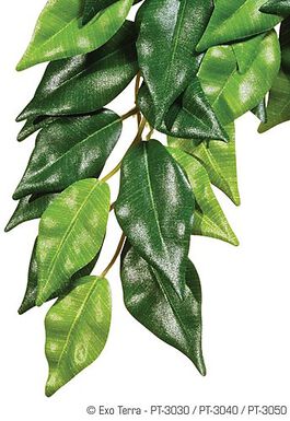 Exo Terra - Plante Ficus pour Terrarium - S