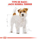 Royal Canin - Croquettes Jack Russell Adult pour Chiens - 1,5Kg image number null