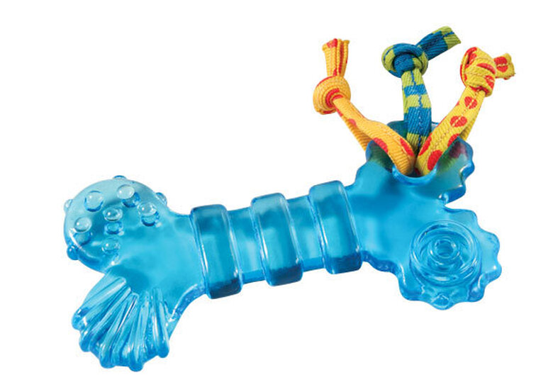 Petstages - Jouet Orka Bone pour Chien - Bleu Image numéro 3 Petstages - Jouet Orka Bone pour Chien - Bleu Image numéro 3
