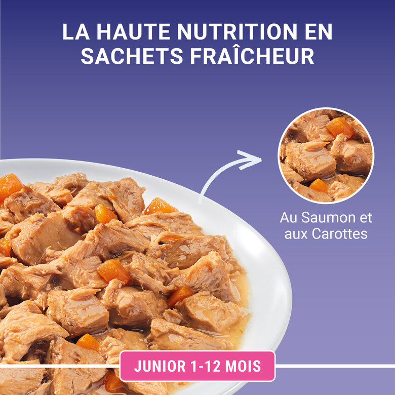 PURINA ONE - Sachets fraîcheurs au Saumon pour Chatons - 4x85g image number null
