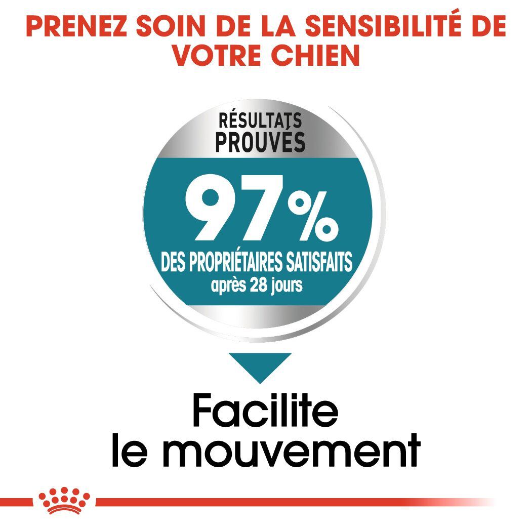 Royal Canin - Croquettes Maxi Joint Care pour Chien - 10Kg Image num&eacute;ro 4