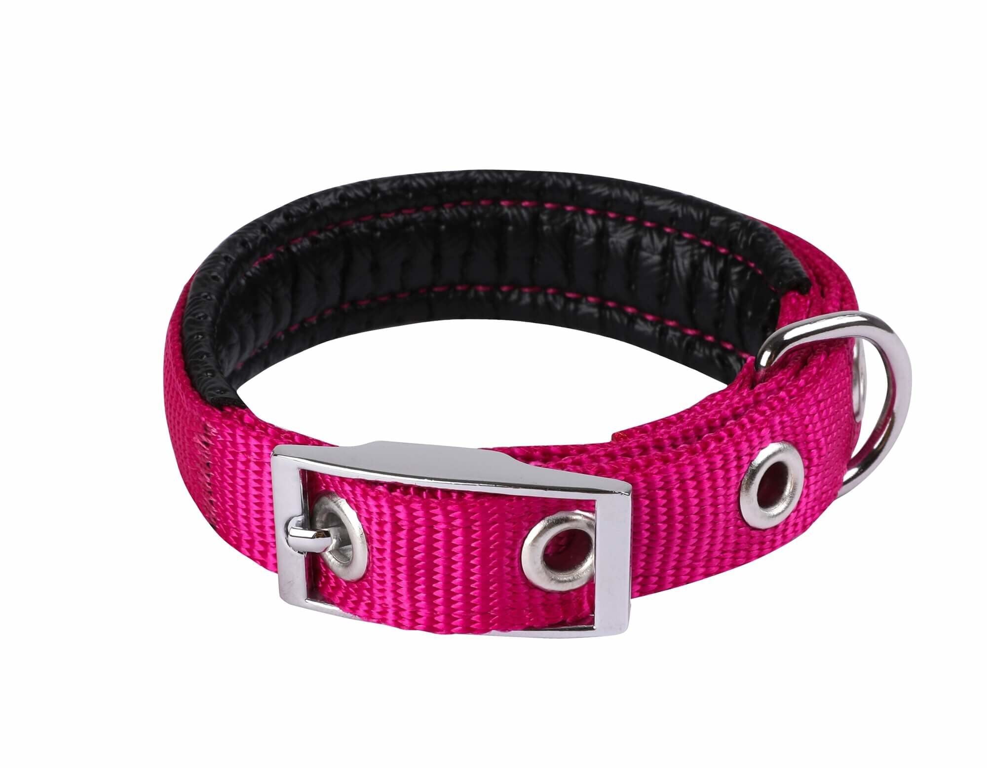 Animalis - Collier Basic Confort Fuchsia pour Chien - 25mm et 65cm Image num&eacute;ro 1