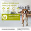 Wellness CORE - Croquettes Light à la Dinde pour Chien - 1,8Kg Indicateur image numéro 2