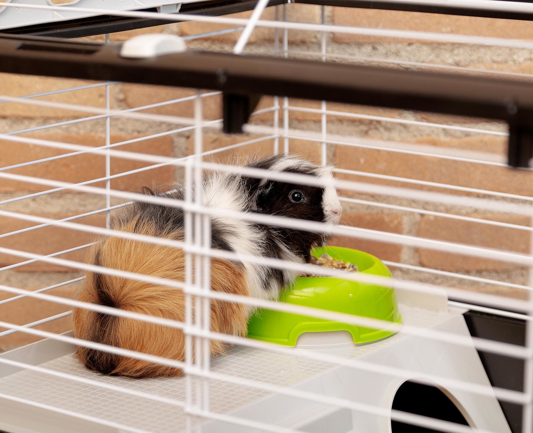 Ferplast - Cage Casita 80 pour Lapins Image num&eacute;ro 5