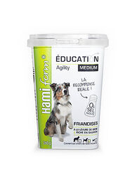 Hamiform - Friandises Education Medium au Saumon - 260g