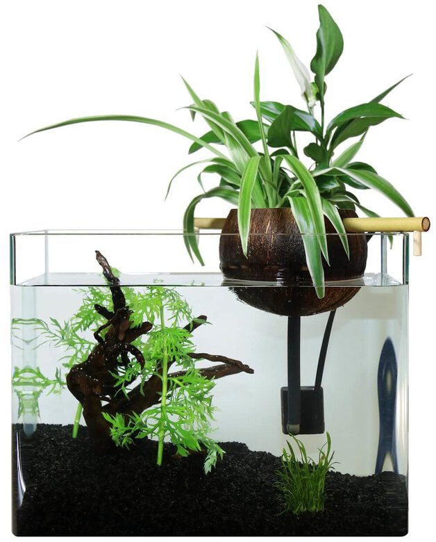 CocoPlant - Filtration Naturelle Coco30 pour Aquarium Image numéro 1 CocoPlant - Filtration Naturelle Coco30 pour Aquarium Image numéro 1