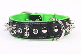 Yogipet - Collier Large Cuir Pointe pour Chien Vert